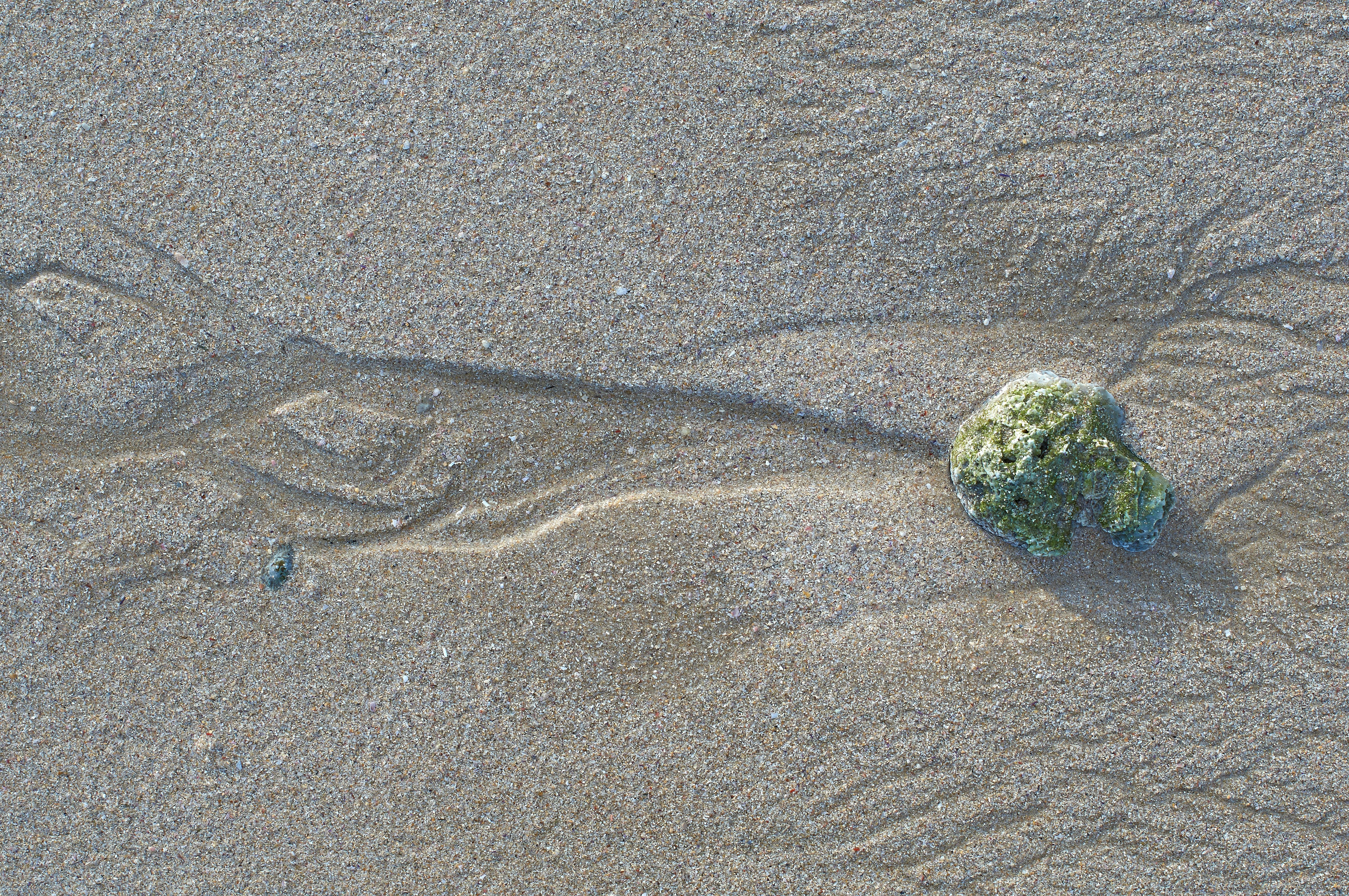 Photo by wolfgang_hasselmann