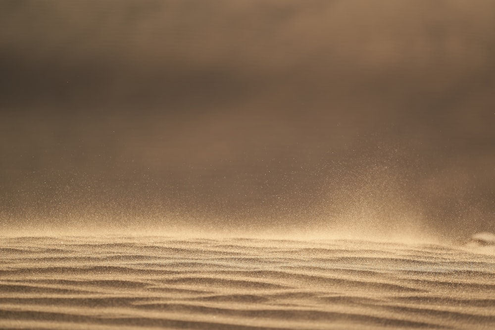 ocean waves under gray sky