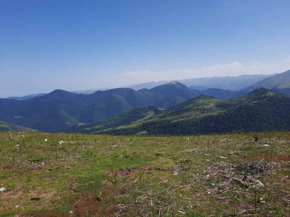 green grass field and mountains during daytime