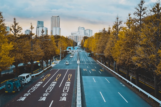 cars on road near trees and buildings during daytime in Meiji-dori Avenue Japan