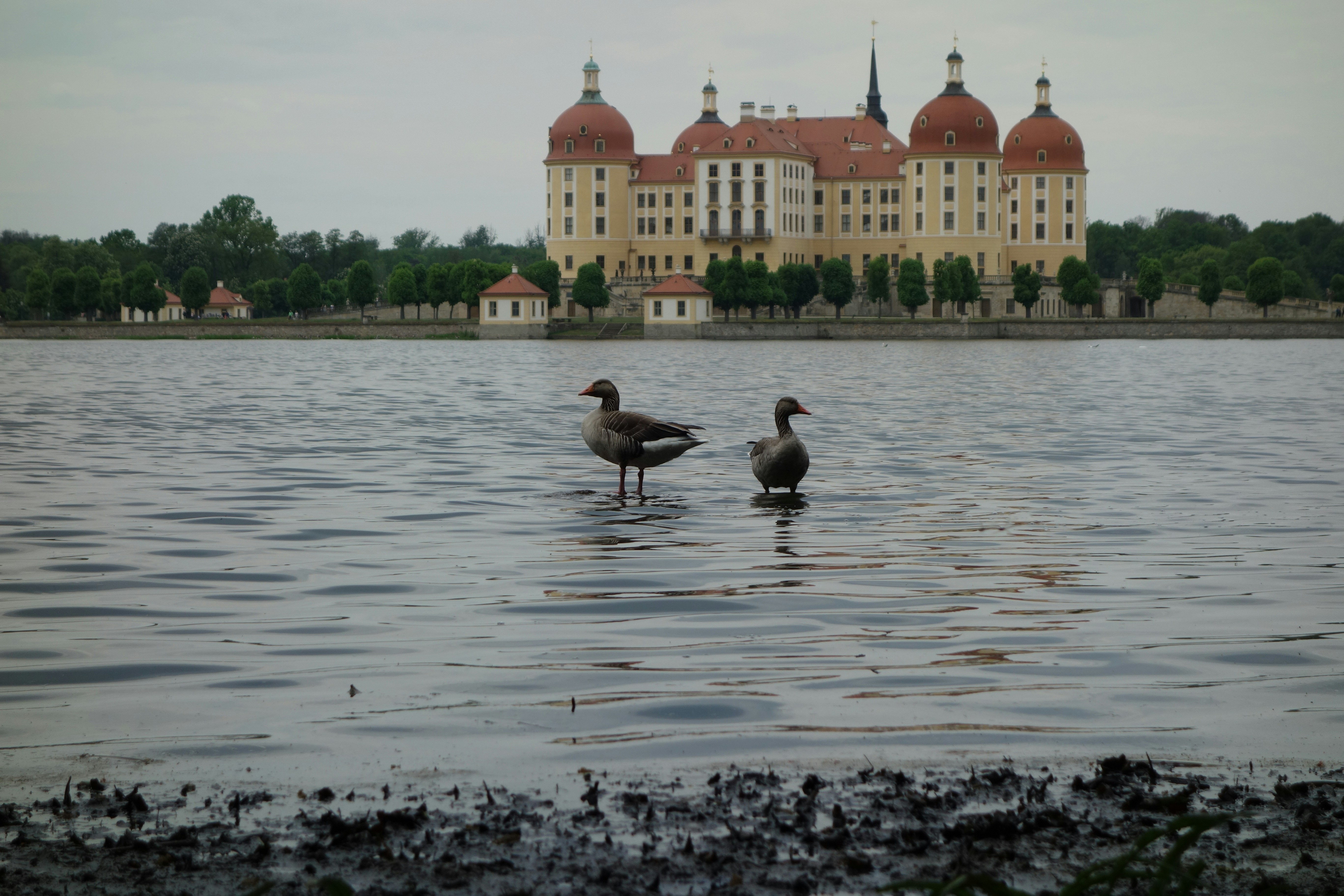 Image by Sören Lemke via Unsplash