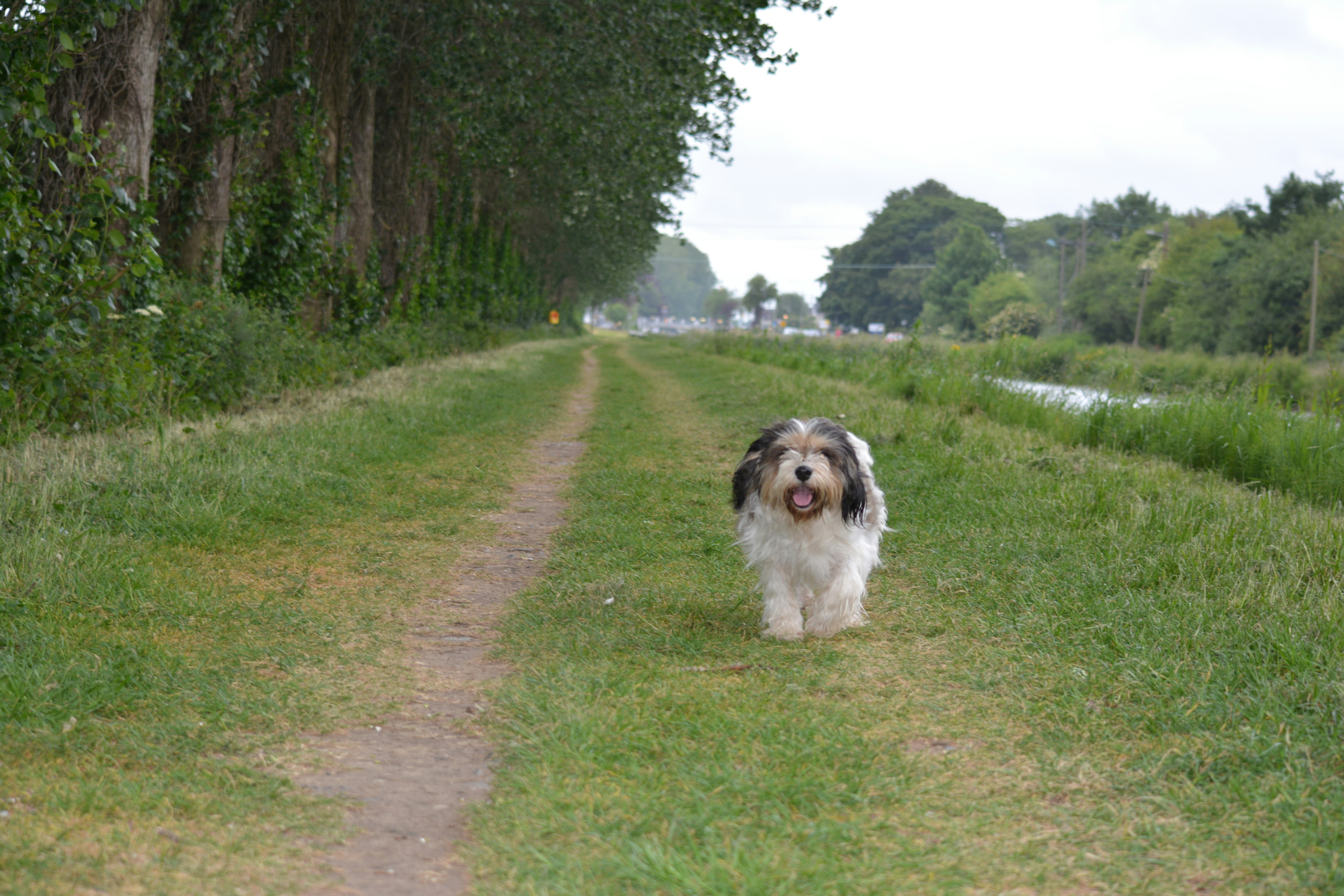 Photo by natashaguryanova