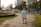 An elderly man smiling while walking in a park.