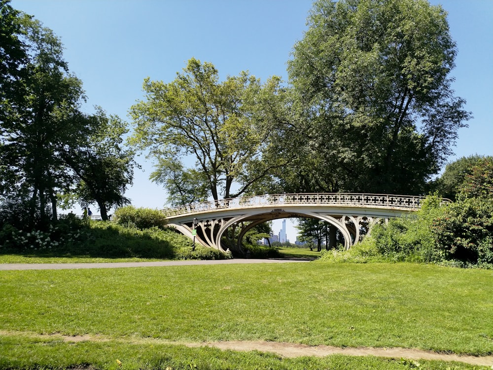 gray concrete bridge over green grass field during daytime in central park NYC