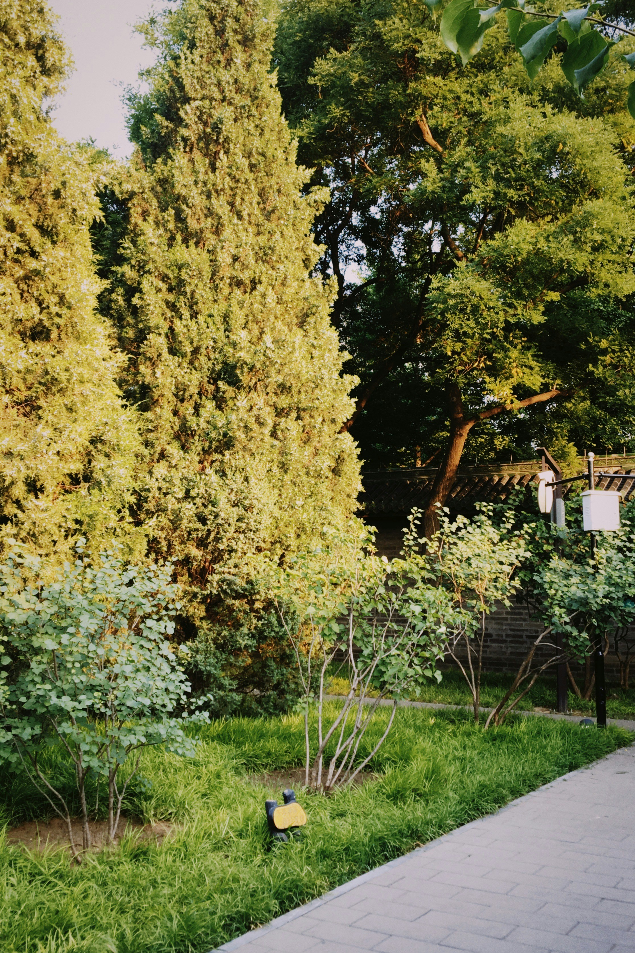 Photo by heylindaaaaa