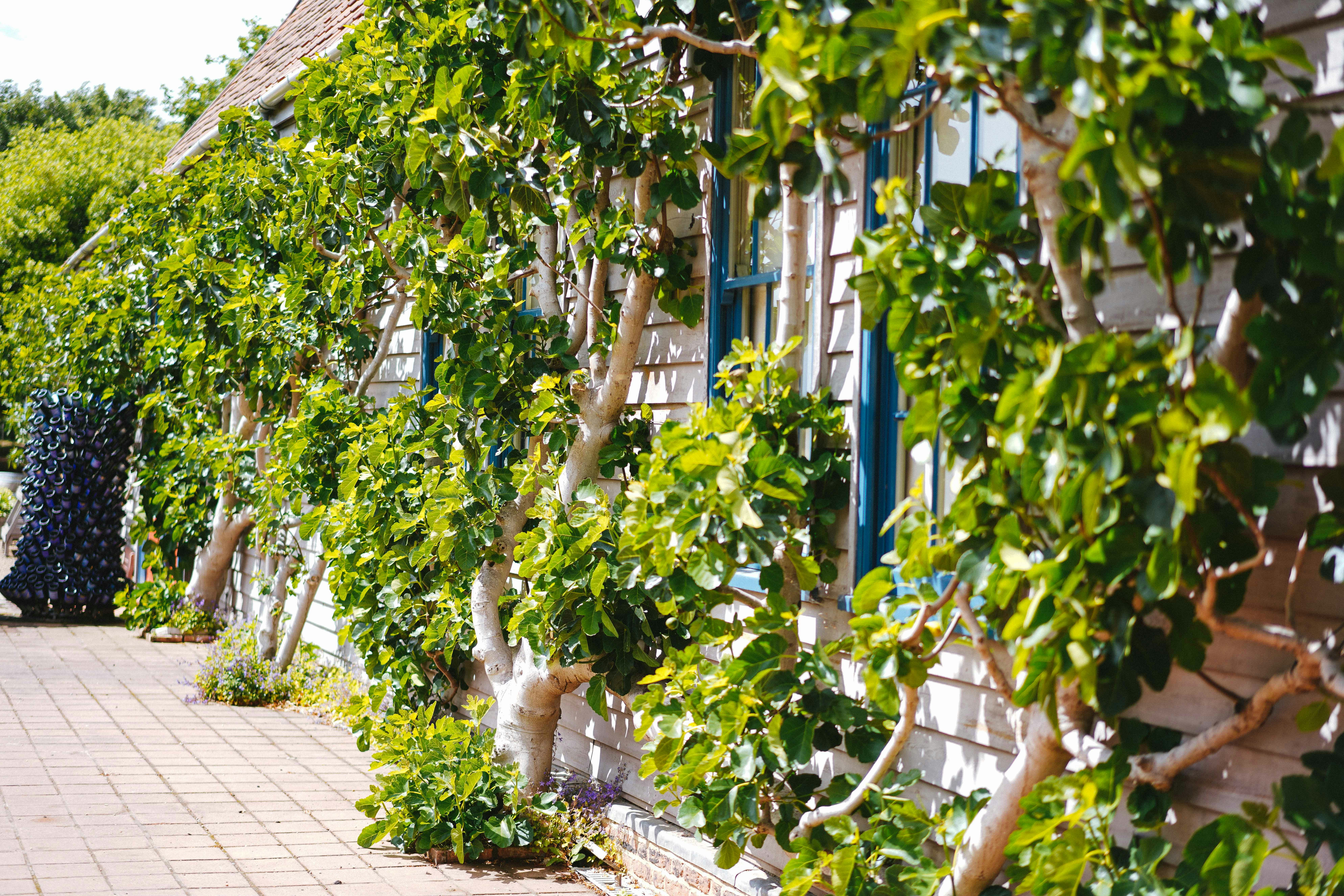 Photo by philhearing