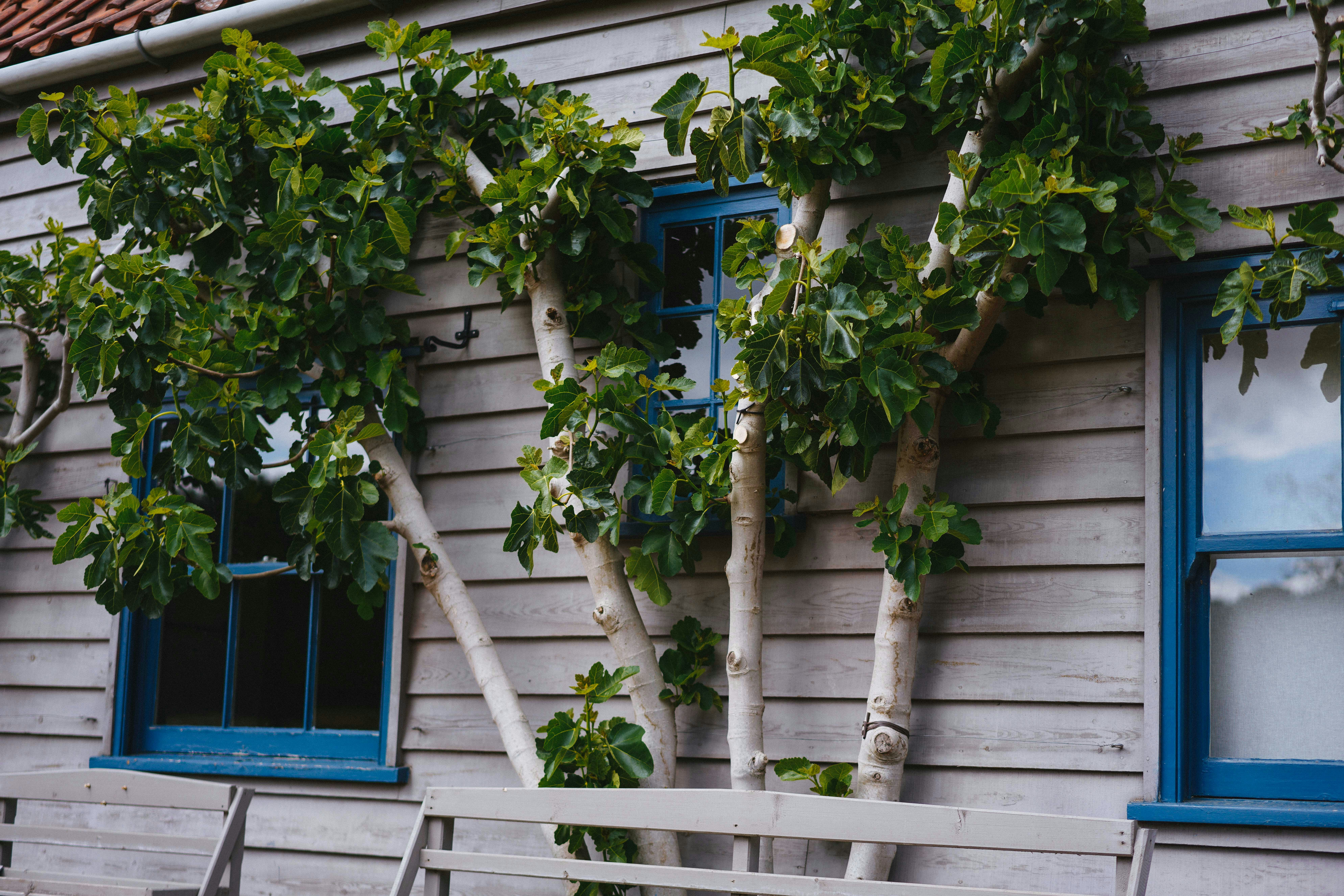 Photo by philhearing