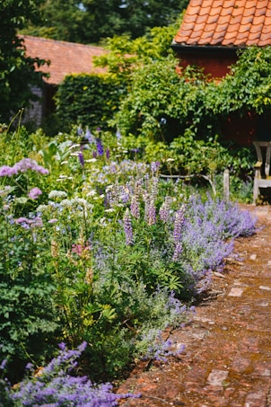 A lush garden path lined with a variety of vibrant flowers in full bloom. The path is made of rustic bricks, leading towards a charming house with red-tiled roofing. Greenery and plants overflow from one side, and there are purple and white flowers growing abundantly.