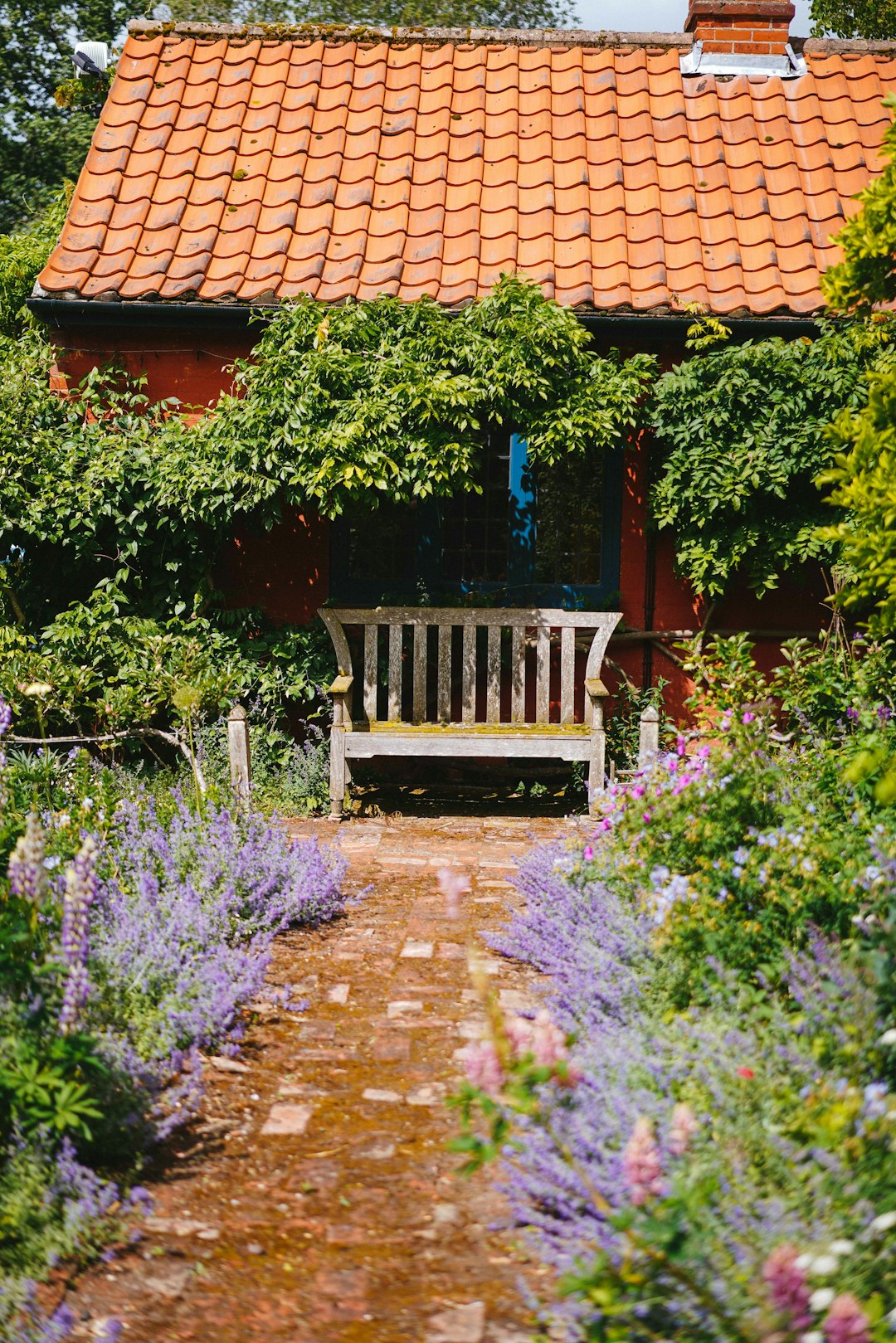 brown wooden bench near purple flowers