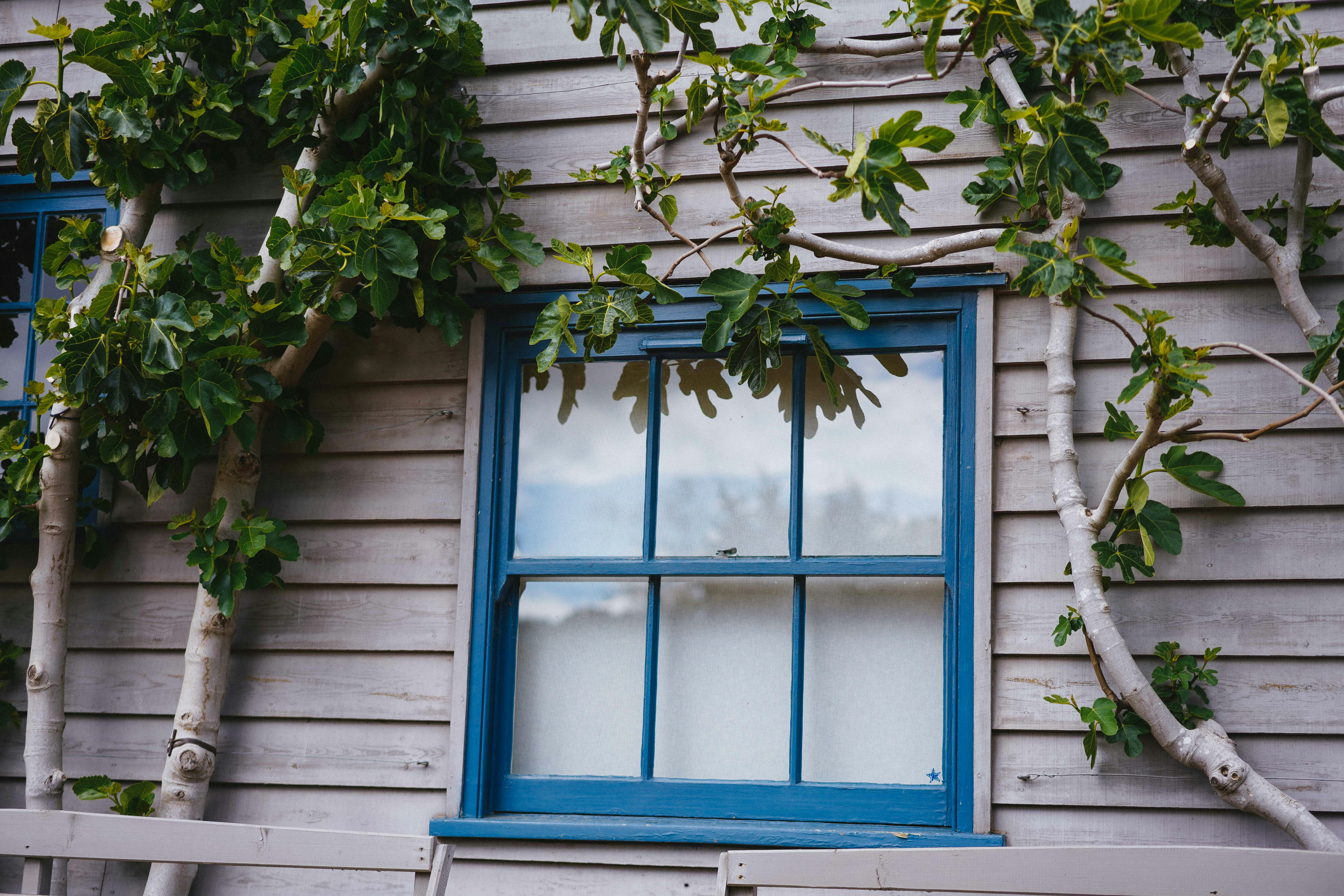 Photo by philhearing