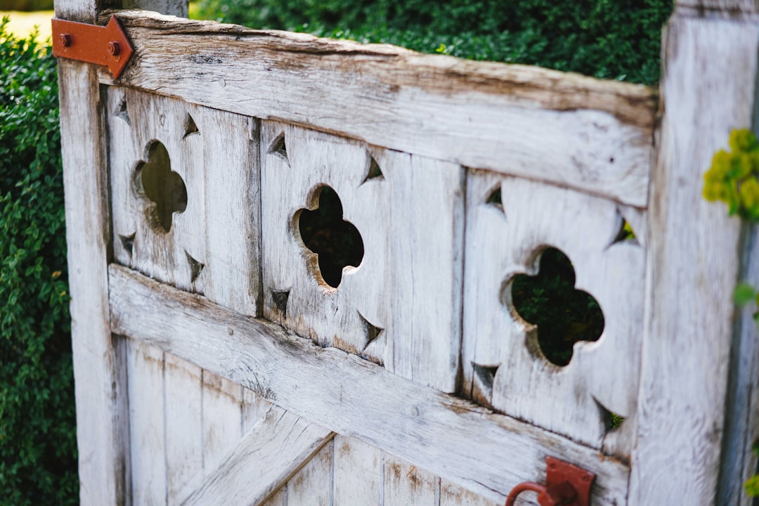 brown wooden fence with green grass