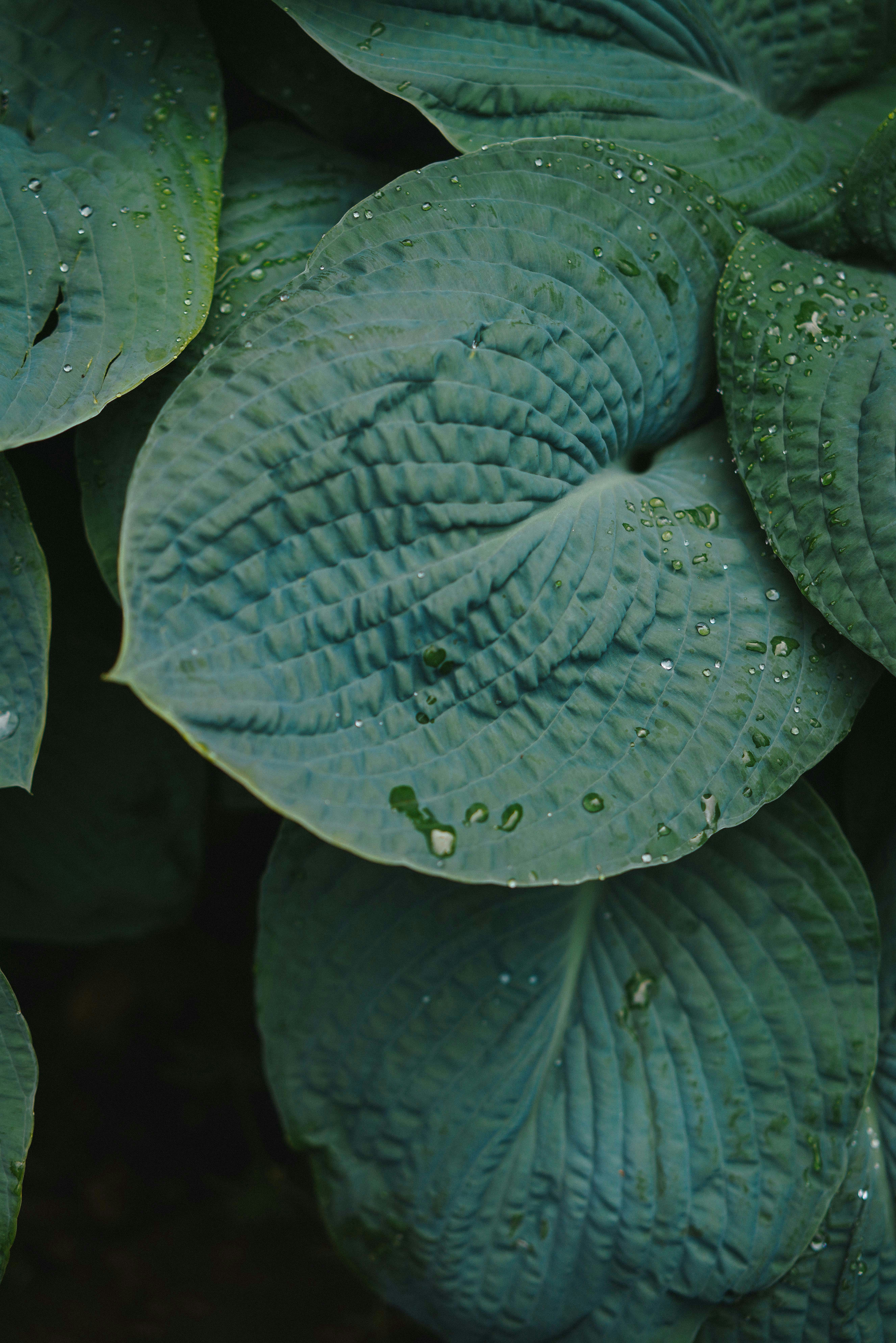 Photo by philhearing