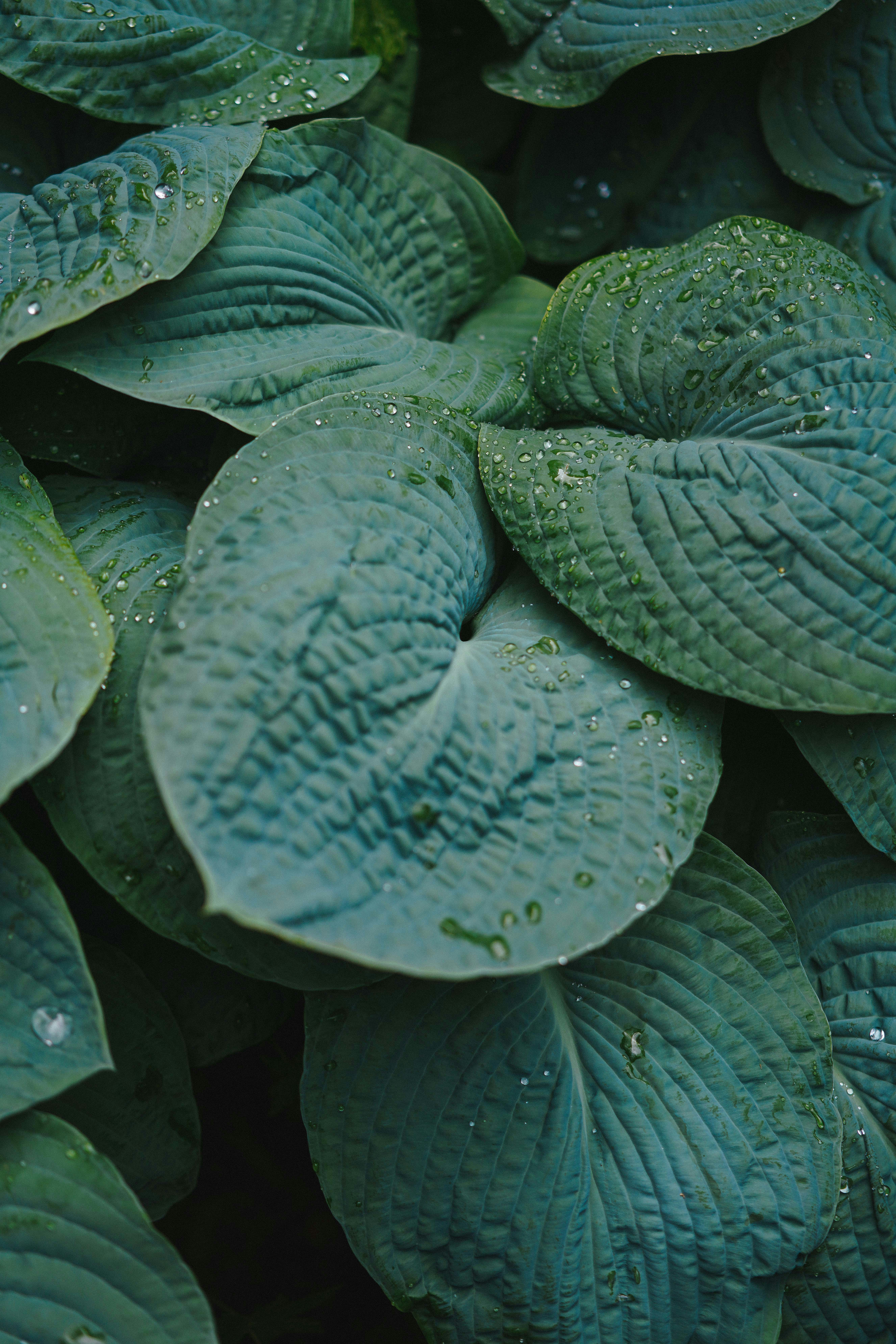 Photo by philhearing