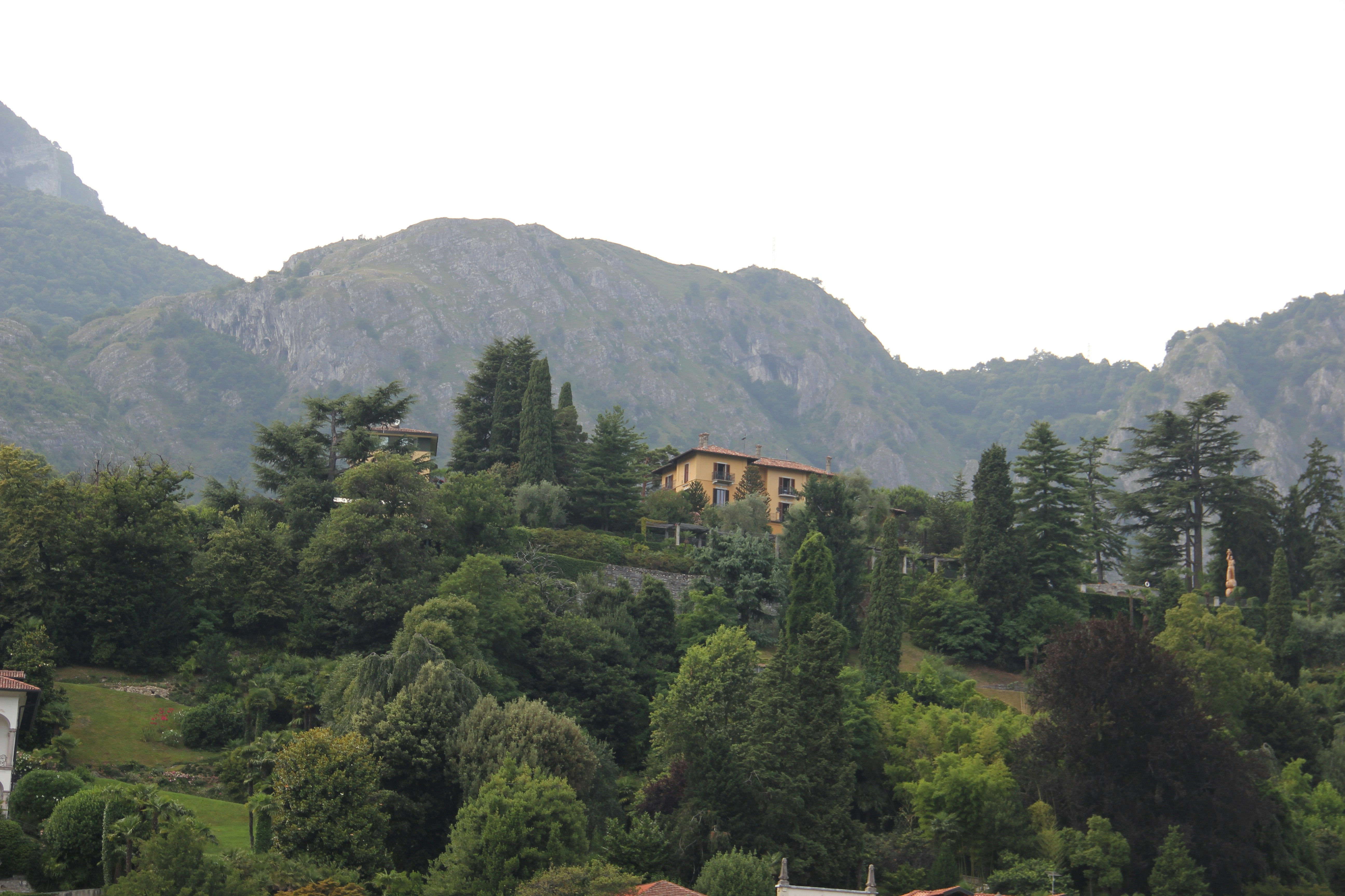 Image by Shalev Cohen via Unsplash