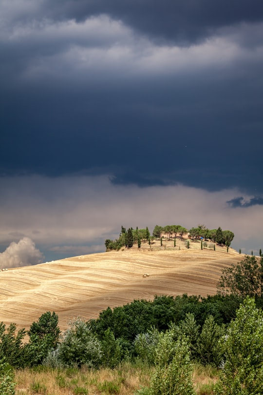 photo of Tuscany Ecoregion near Florence