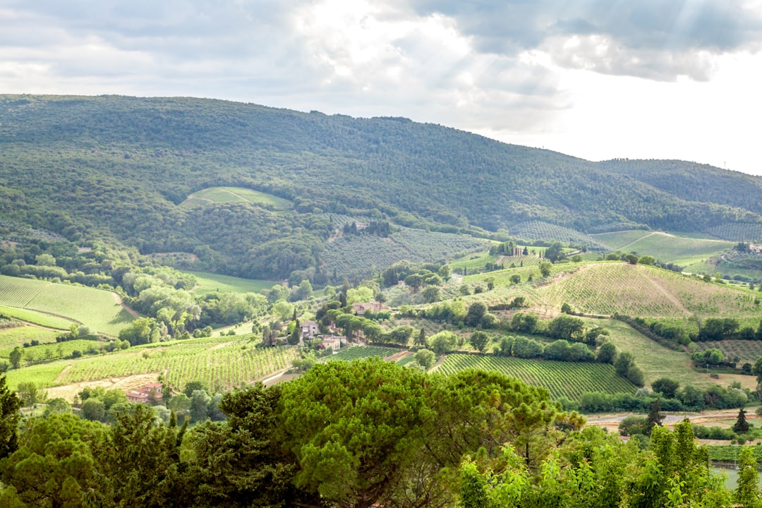 Hill station photo spot Tuscany San Gimignano