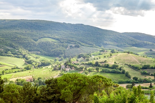 green trees on mountain under white clouds during daytime in Tuscany Italy