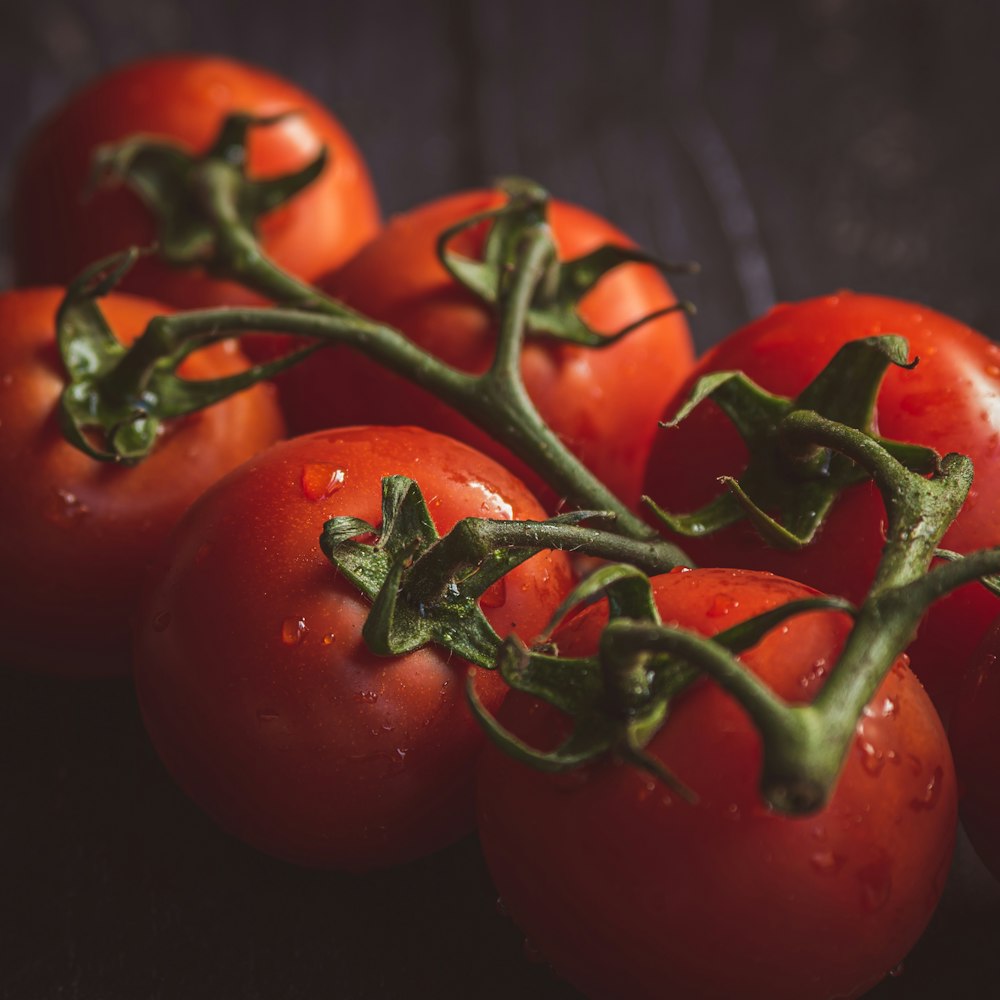 rote Tomate auf schwarzem Textil