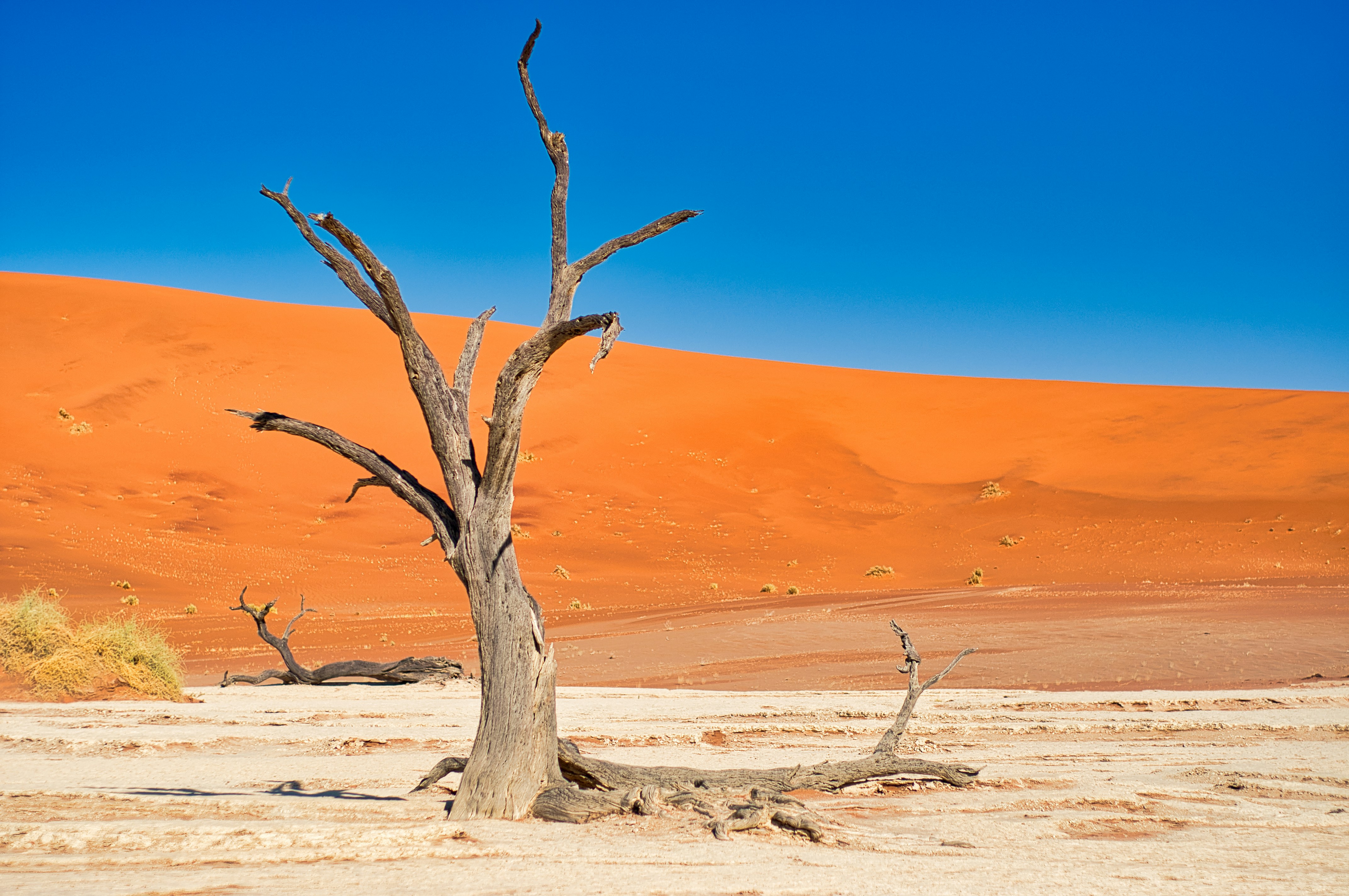 Photo by dudi_dudewitz