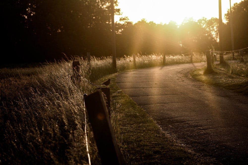 sun setting over the road