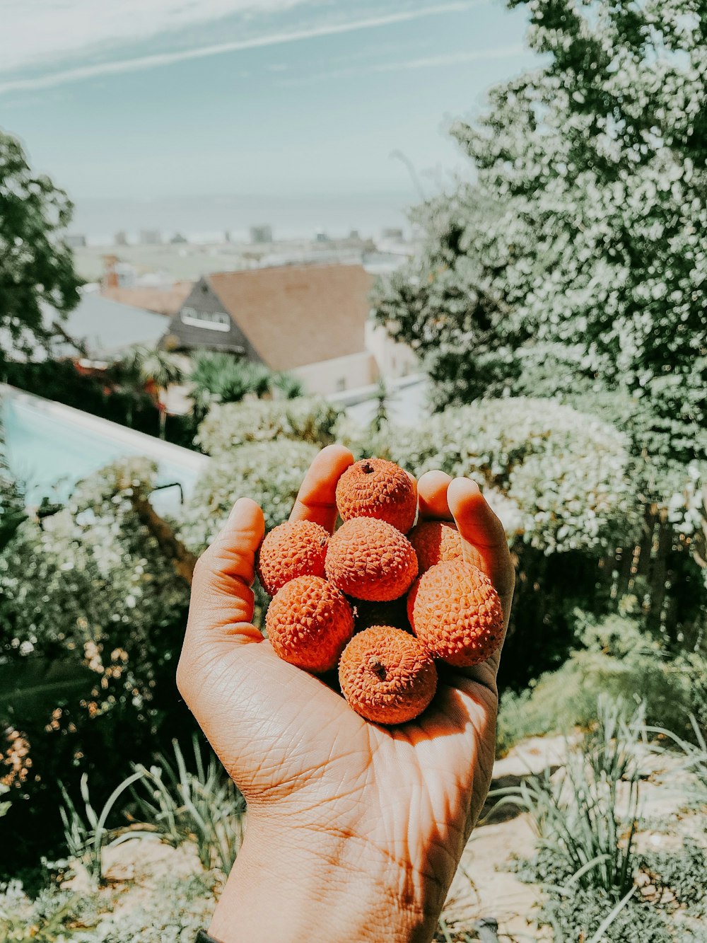 person holding red raspberry fruit