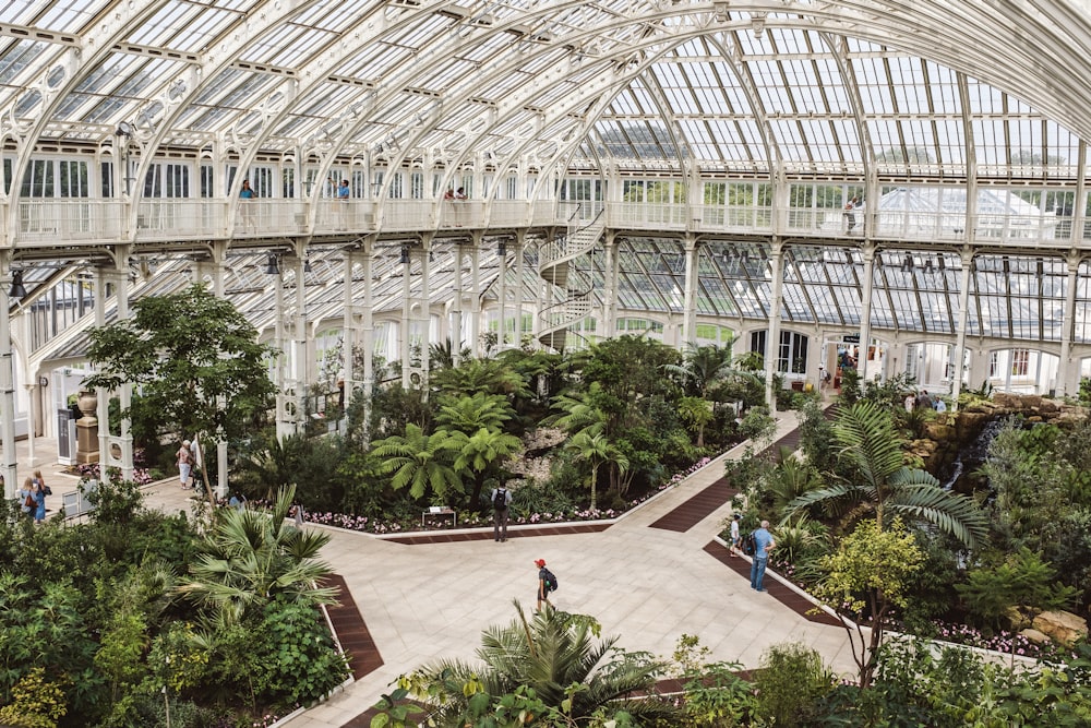 green plants inside white building