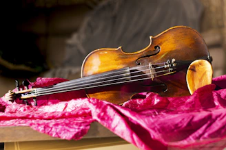 Violin and Viola Classes at Tacoma Area Homeschool Band