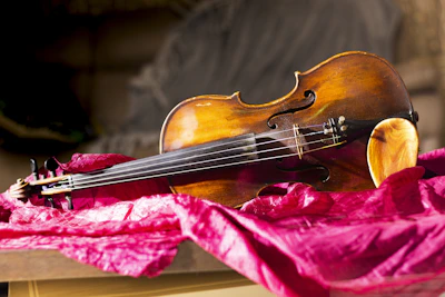 Violin and Viola Classes at Tacoma Area Homeschool Band