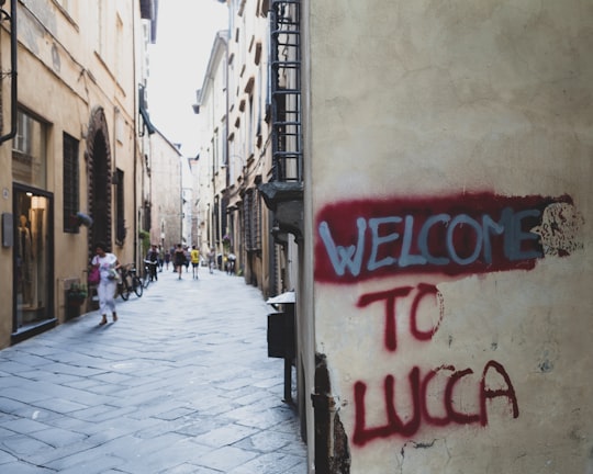 Lucca things to do in Viareggio
