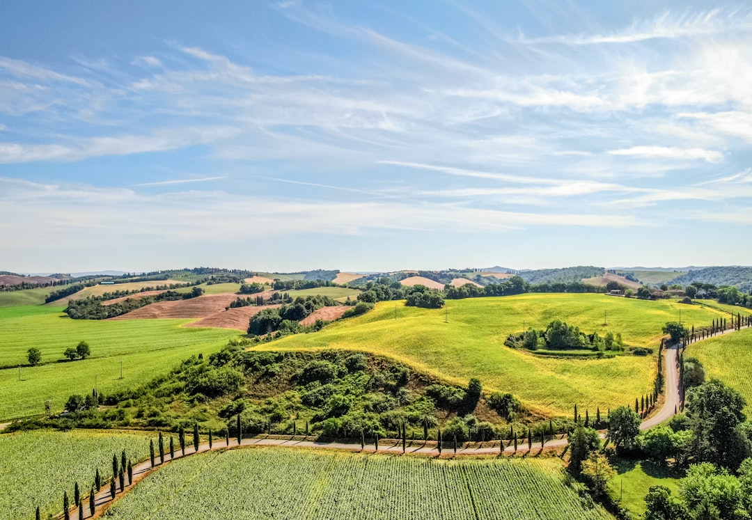 green grass field under blue sky during daytime