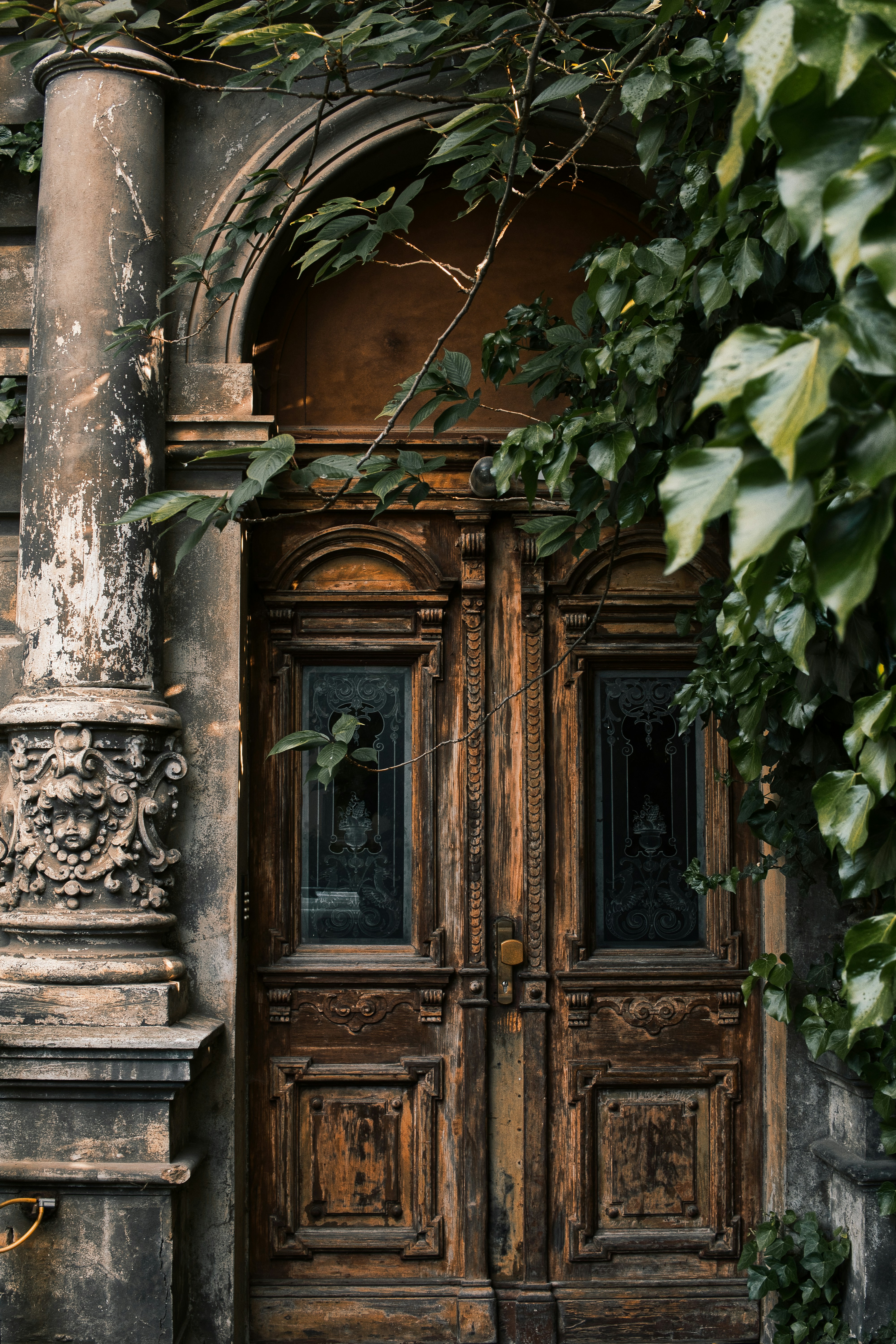 緑の葉と茶色の木製のドアの写真 Unsplashで見つけるドイツの無料写真