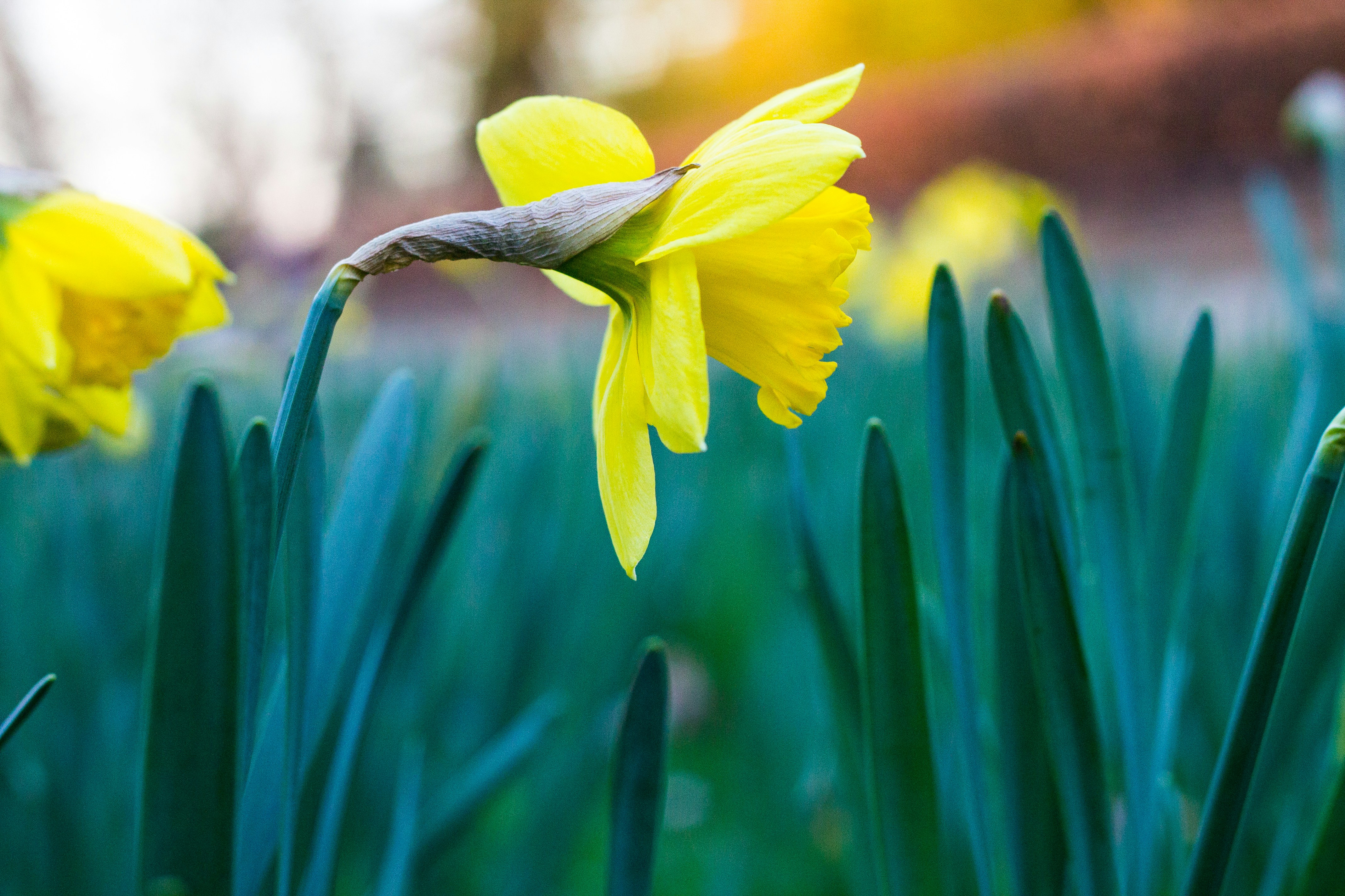 Photo by alexhndnbrn