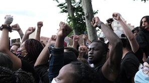 people raising their hands during daytime