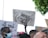 A group of people holds up protest signs. One prominent sign features a charcoal or pencil drawing of a raised fist, symbolizing solidarity and resistance, with words like 'Justice' and 'Fier' written on it. Other signs contain text in different languages, pointing to themes of equality and anti-racism. The crowd includes individuals wearing masks, and the scene is set outdoors with a leafy tree visible in the background.