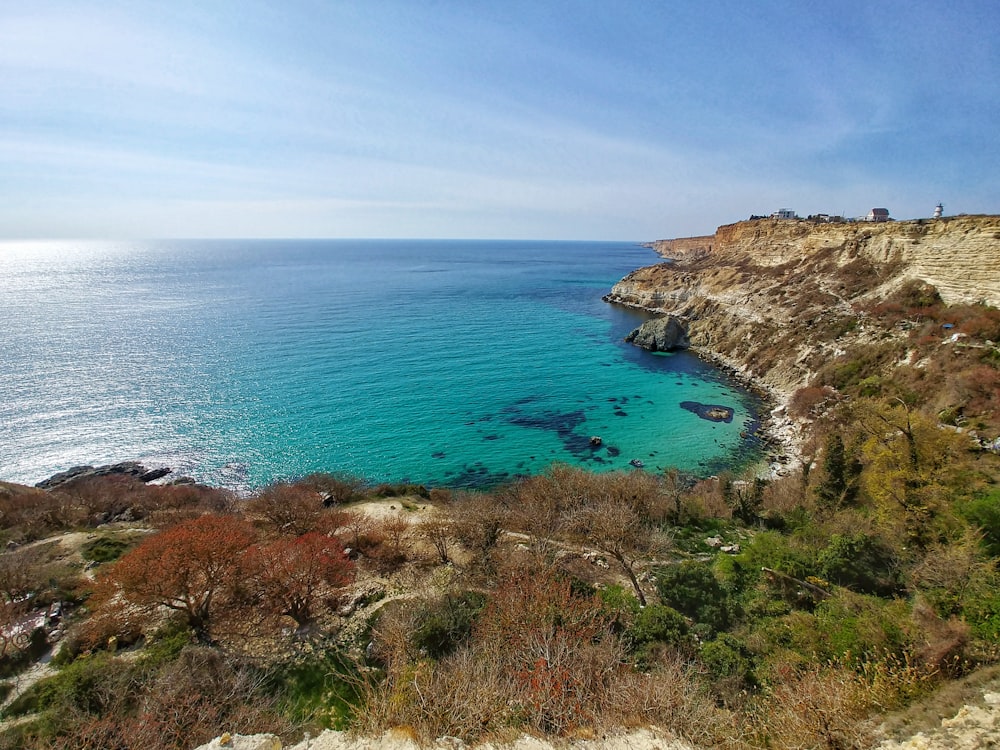 green grass near blue sea under blue sky during daytime