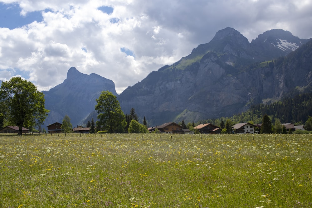 green grass field near green mountain under white clouds during daytime