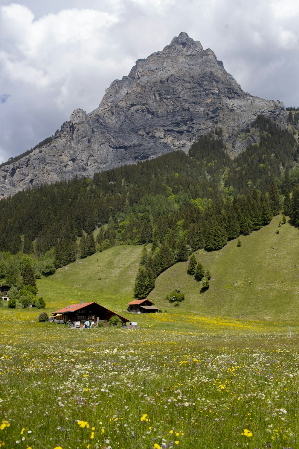 brown house on green grass field near mountain during daytime