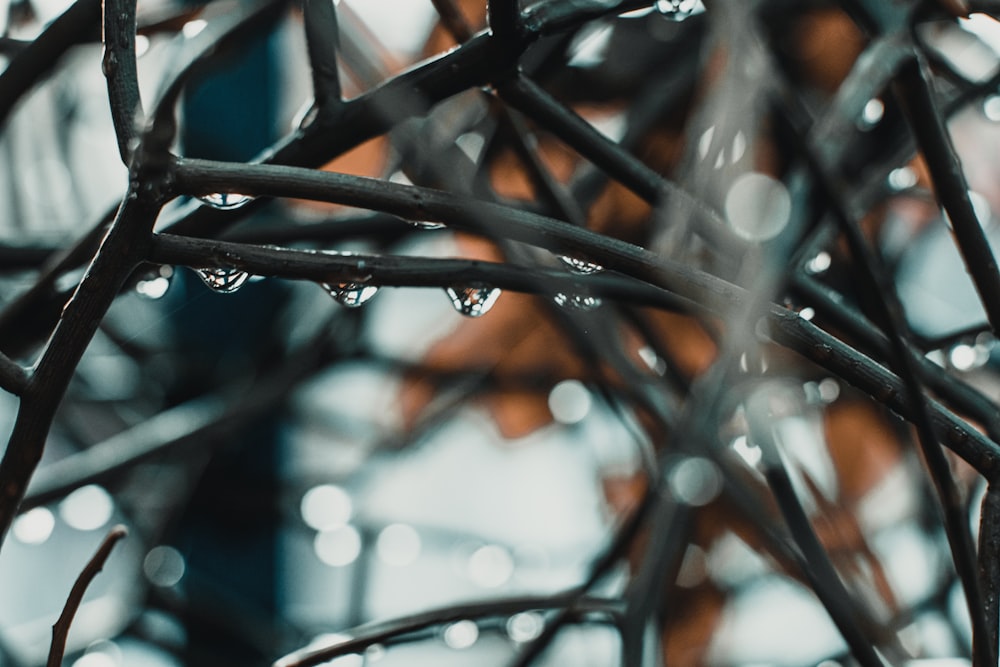 black metal wire in close up photography