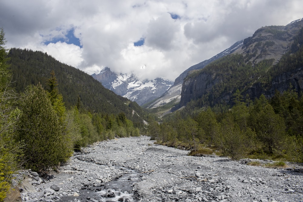 green trees on mountain under white clouds during daytime