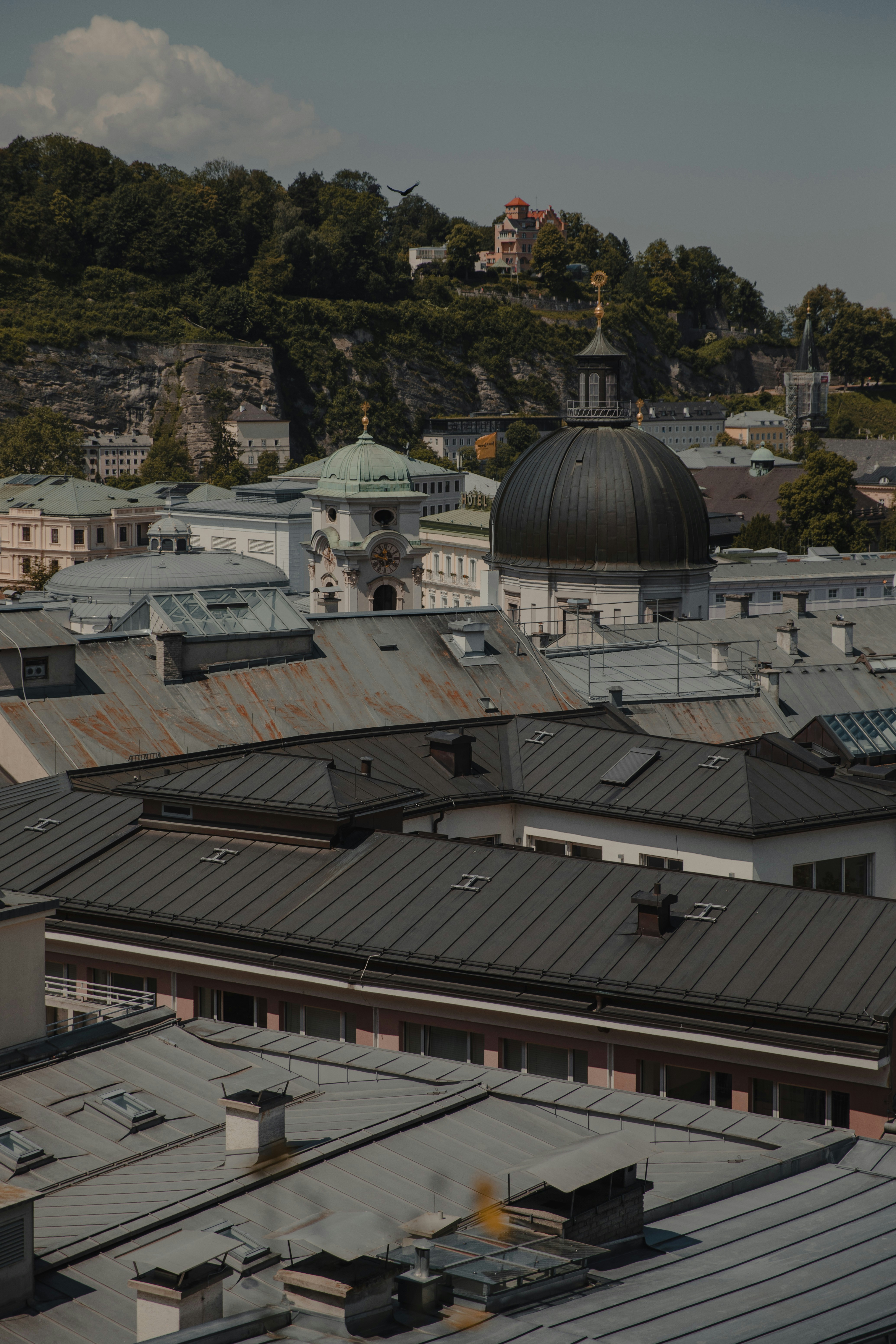 Photo by patresinger