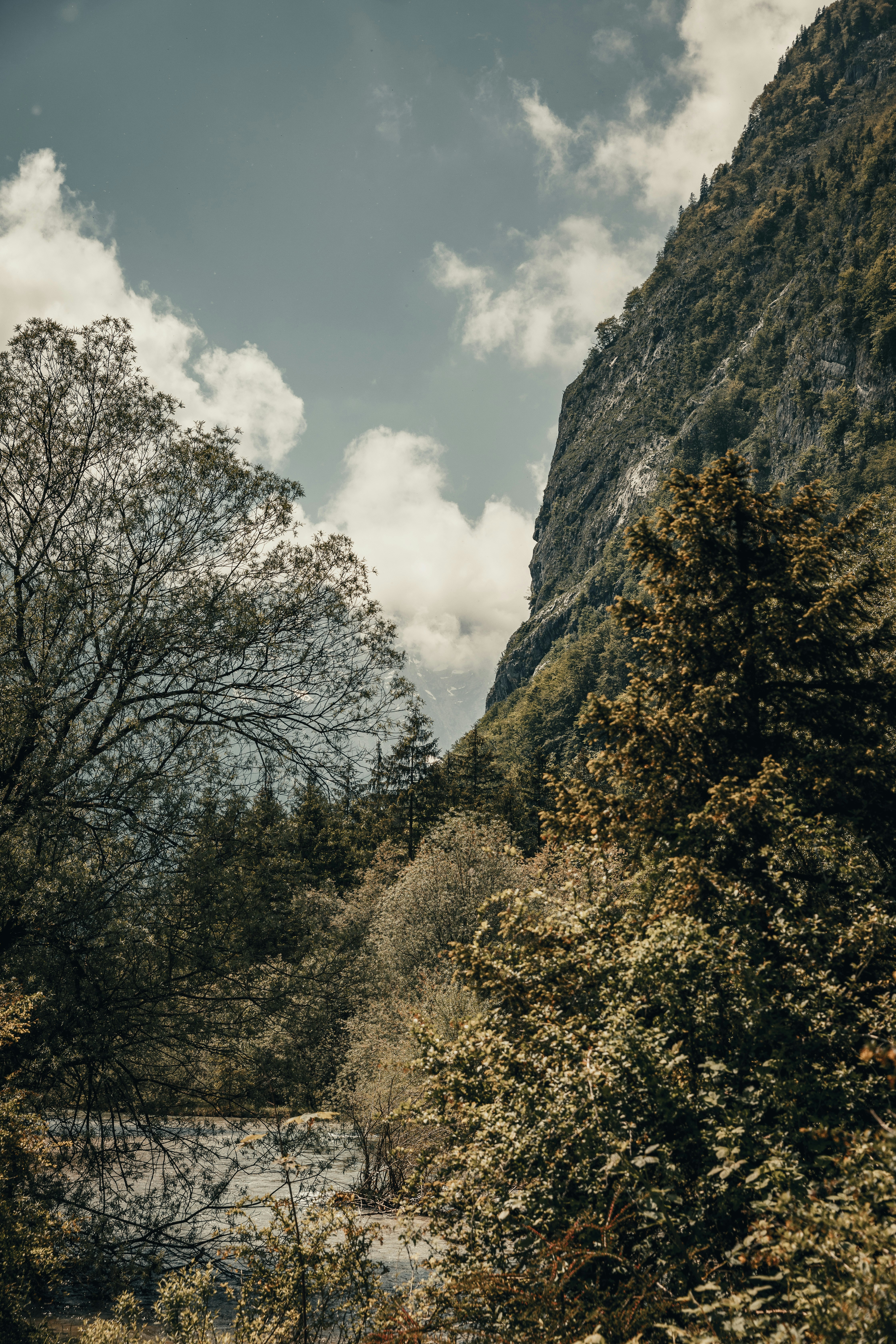 Photo by patresinger