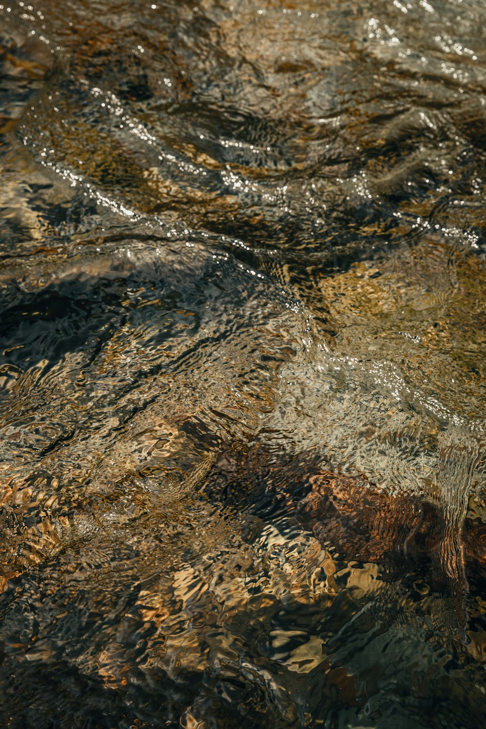 brown and black stone on water