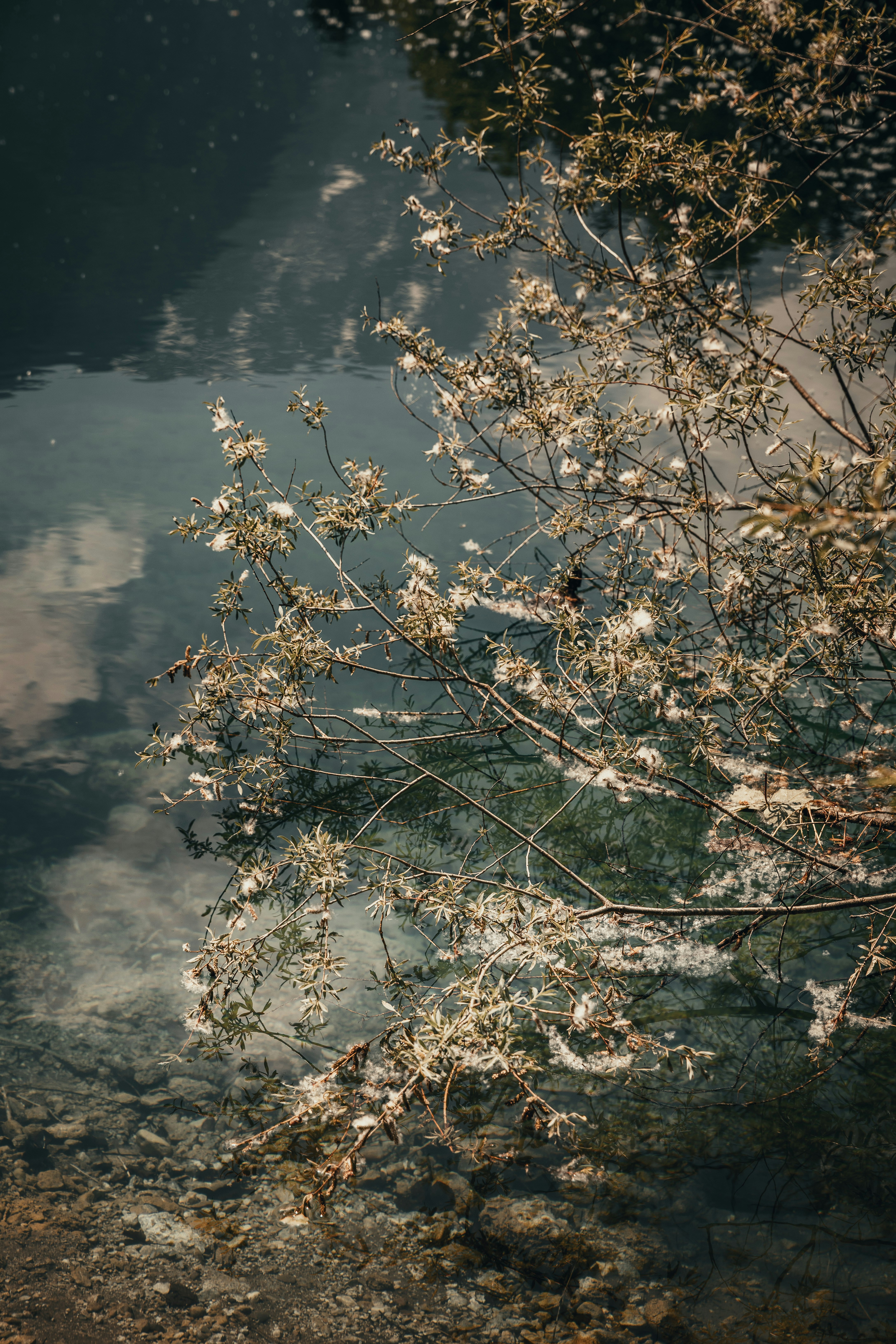 Photo by patresinger