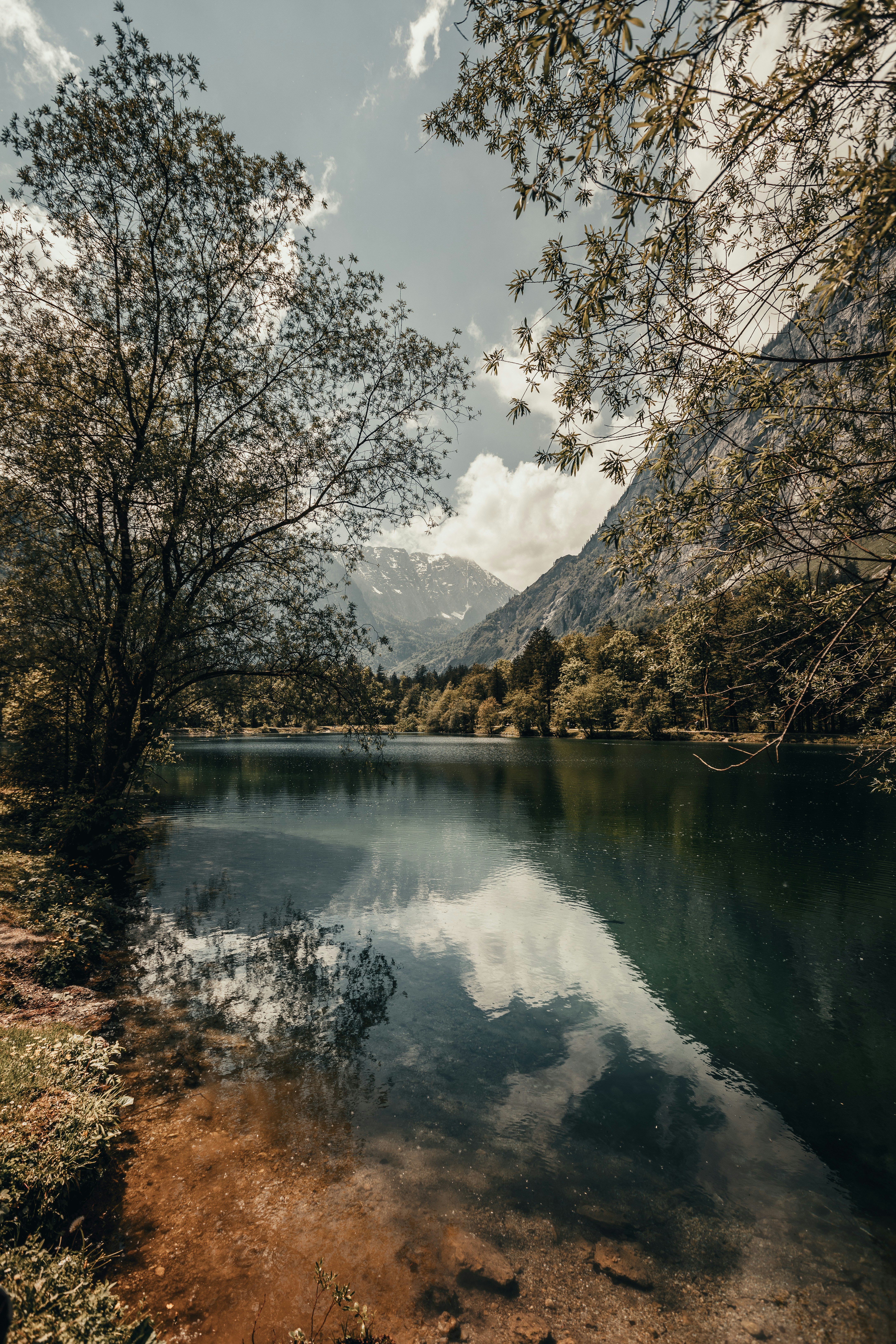 Photo by patresinger