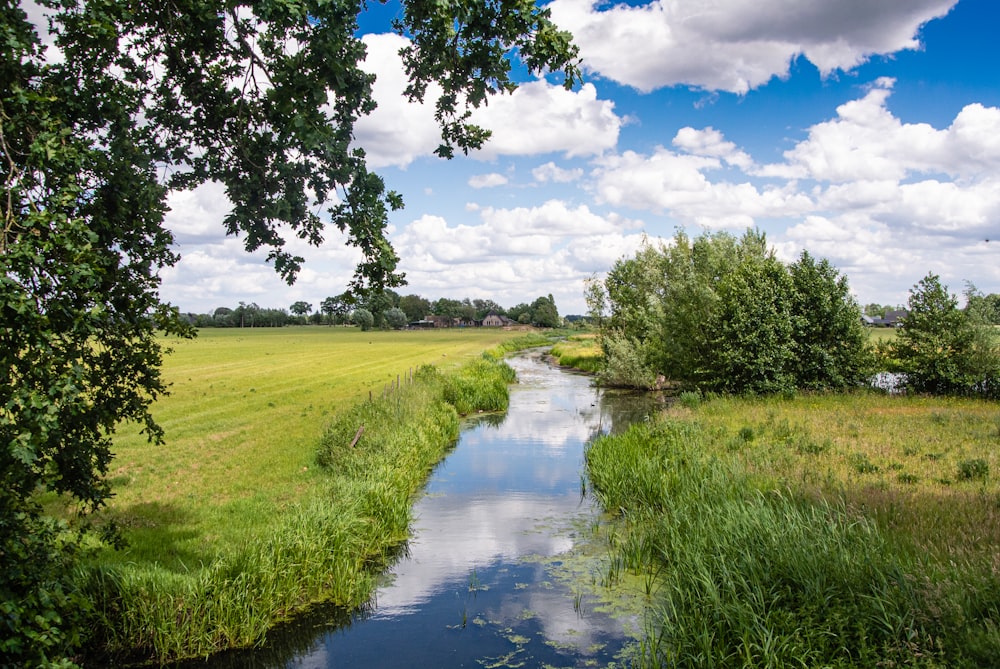 green grass field near river under blue sky during daytime