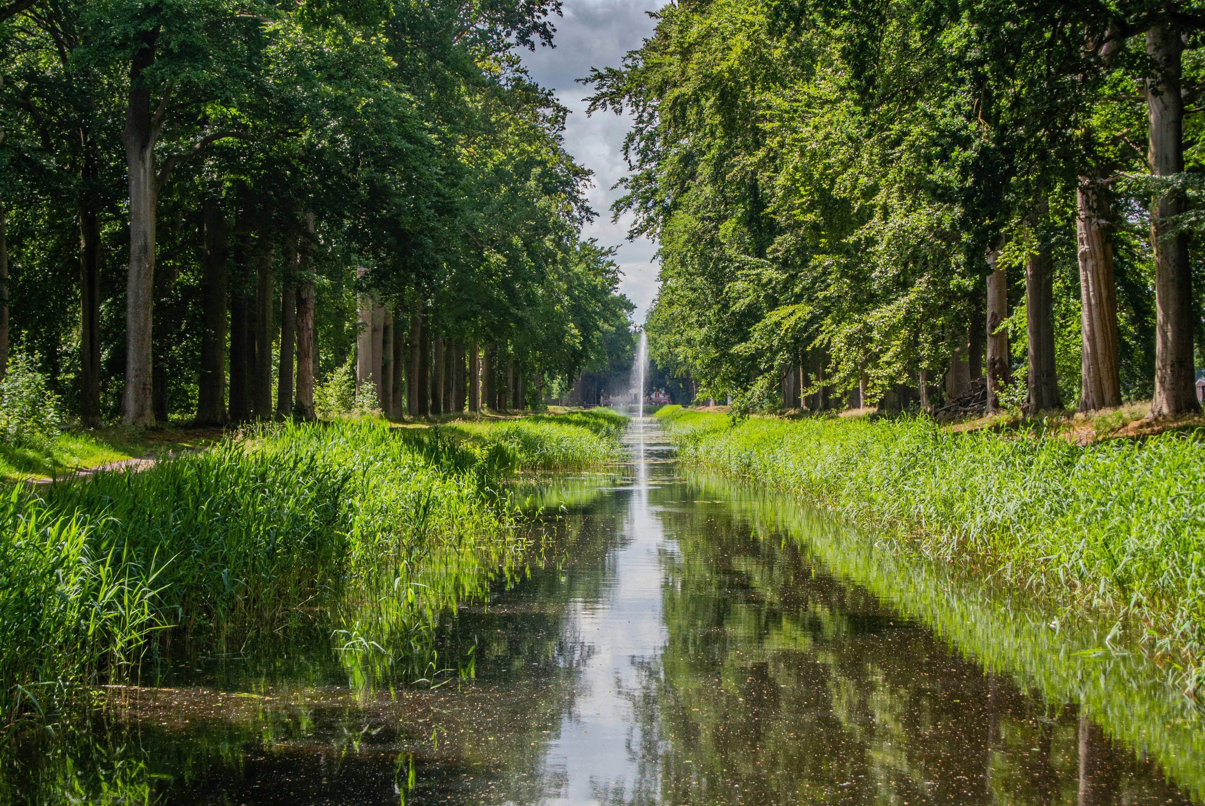 Photo by jzwaan