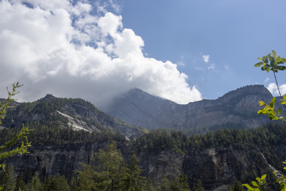 árvores verdes na montanha sob o céu azul durante o dia