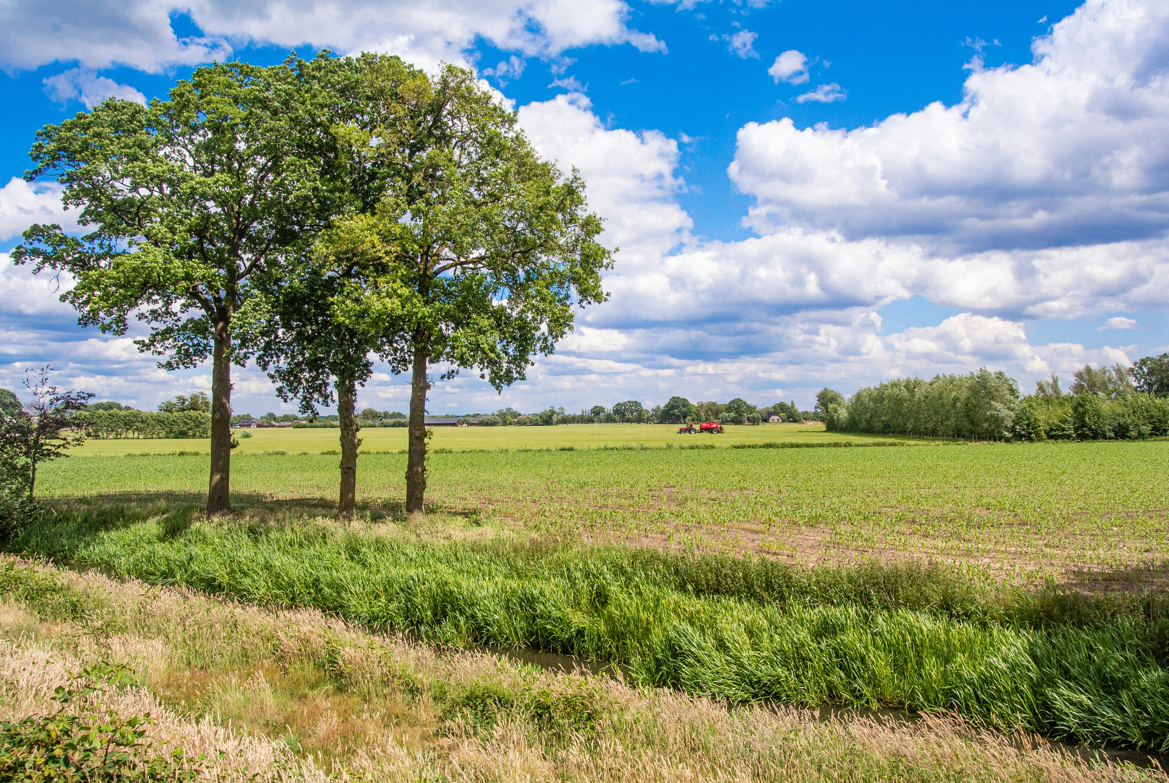 Afbeelding van Renswoude