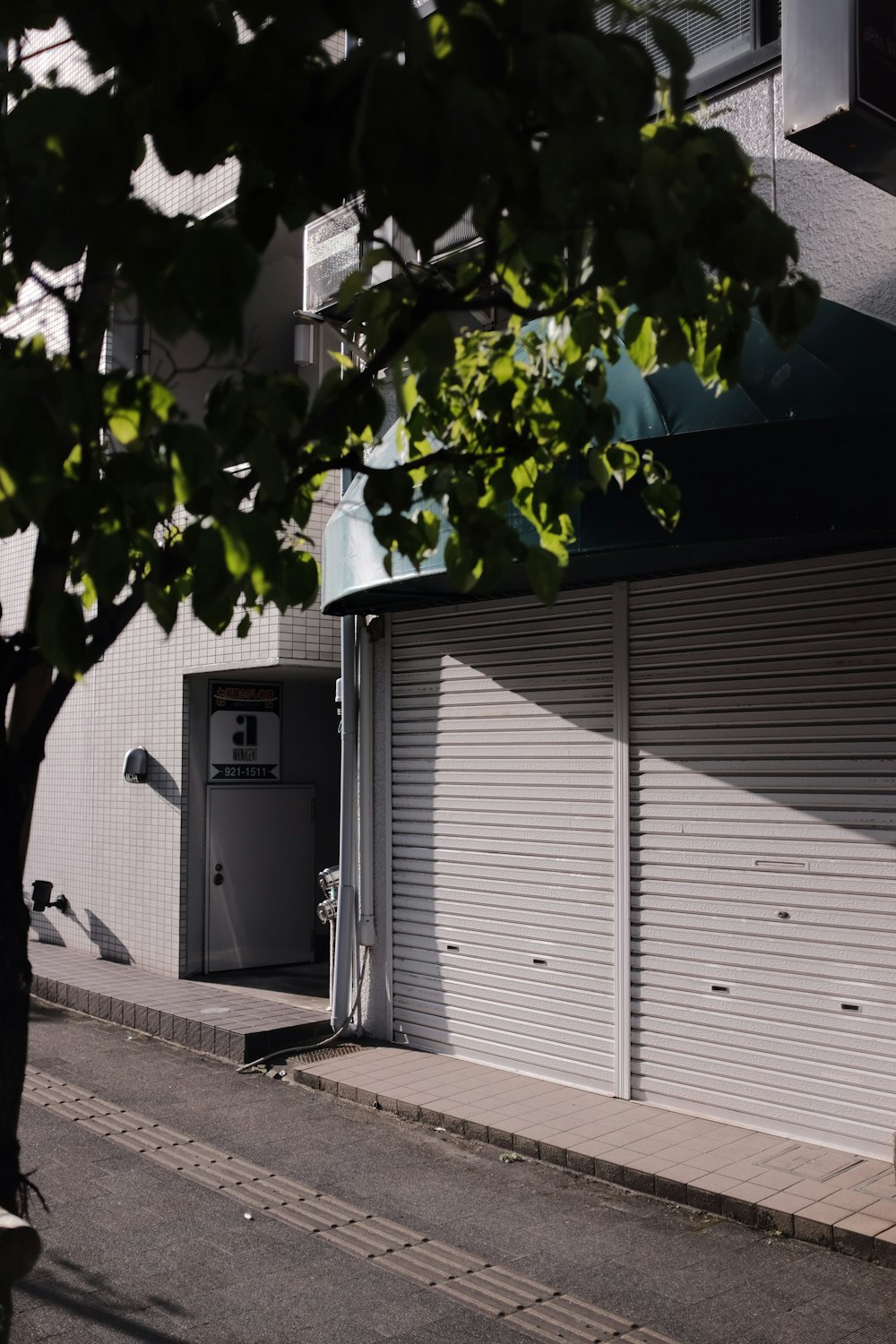 green tree beside white garage door