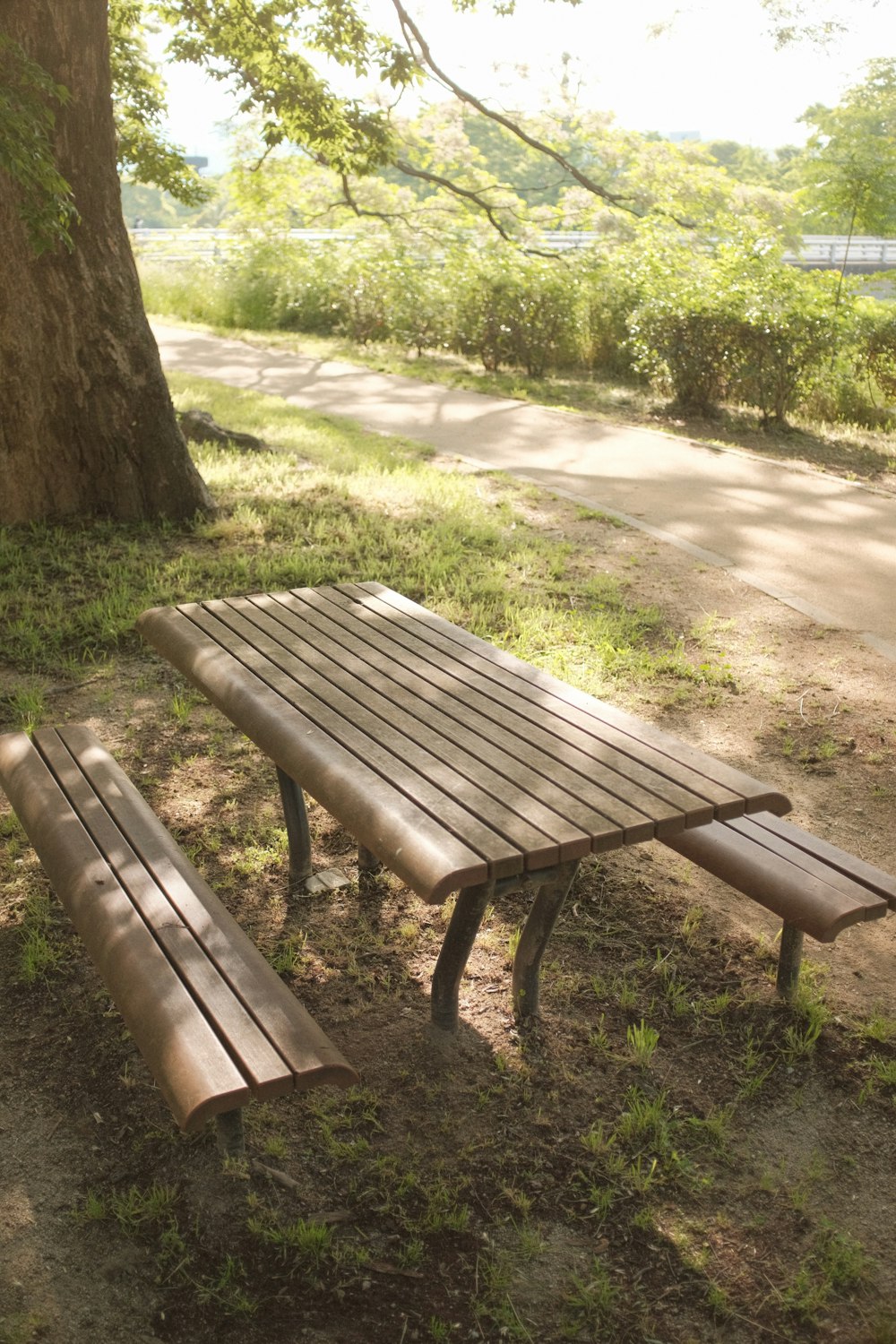 brown wooden bench near green trees during daytime